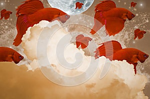 Red color fighting fish, moving in the air, With clouds, moon, stars, and waves.